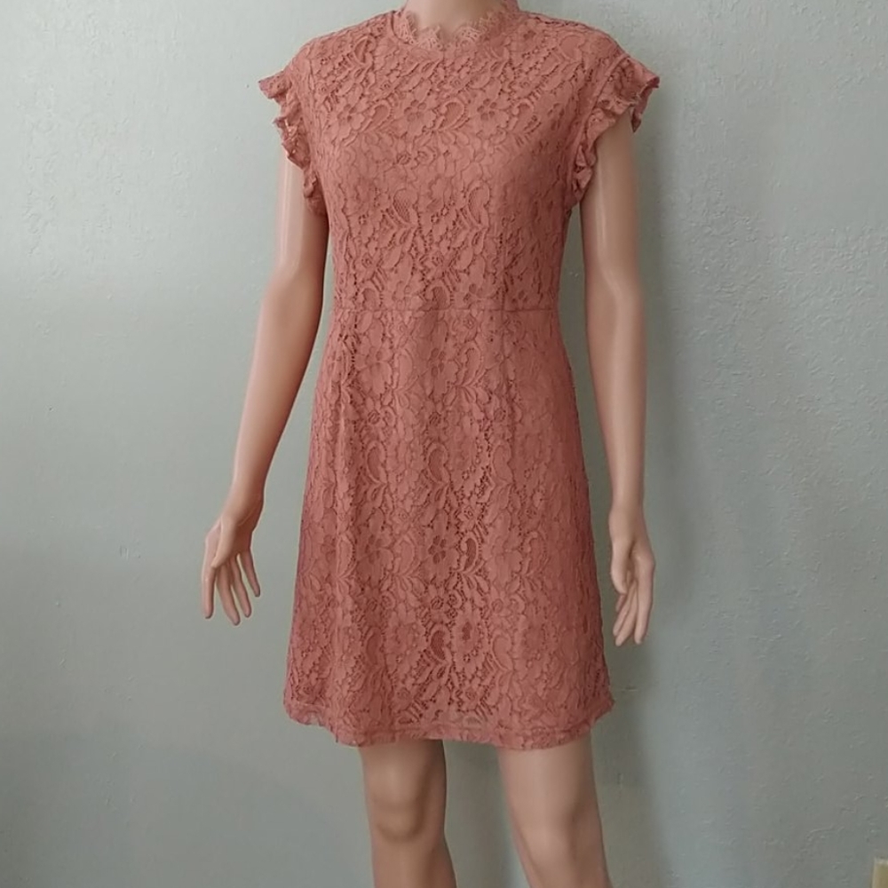 Cap Sleeved Apricot Colored Lace Sheath Dress